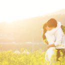 유채꽃직구