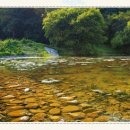 개울가펜션 별관 이미지