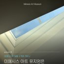 [서포터즈M] 미메시스 아트 뮤지엄은 유명한 빛의 미술관임