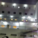 카멜리아 이미지