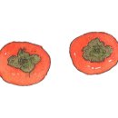 덕문농장 이미지