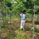 약천농장 이미지