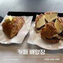 배양장 | 통영 오션뷰 카페 배양장 고양이와 베이커리 솔직 후기