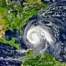 대림한우정육점 이미지