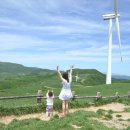 삼양목장 이미지