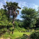 고 김양제 고택 이미지