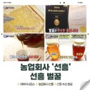 OBS어서옵쇼 SHOW_ 농업회사 법인 주식회사 선흥, 선흥벌꿀 _0905