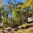 대천공원4호 이미지