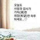 다웃는다 이미지