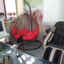 아잉독 애견카페 이미지