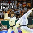 한체대한국키즈태권도