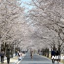 유가면 이미지