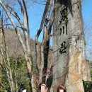 대중여관 이미지