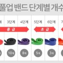 크로스핏킹콩 이미지