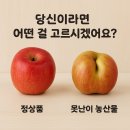 채일농산물