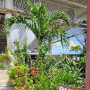 작은행복레스토랑 | 세부맛집 부코 씨싸이드 바 앤 레스토랑 재방문한 후기 및 메뉴 추천