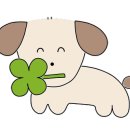 광주다온동물병원 이미지