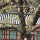다본다전자