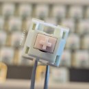 야옹PC | 기계식 키보드 KTT Meow 스위치, 야옹축 리니어 MX 스위치 후기