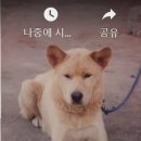 동진