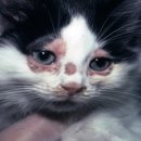 강앤정 동물병원 이미지