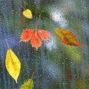 자연-탄생 이미지