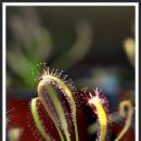 용산복지회관 이미지