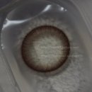 렌즈아이 이미지