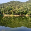 팔복작은도서관 이미지