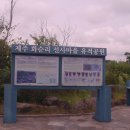 화순리 지석묘 티스토리