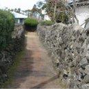 이레올래 이미지