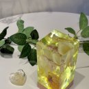플로리모라