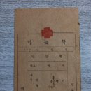 십자당약국 이미지