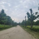 삼화양곡 | 【사찰】봉미산 신륵사