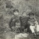 현호목장 이미지