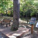 시비공원 공중화장실 이미지