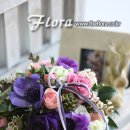 봄의 플로라 이미지