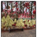 별새꽃유치원 | 유치원겨울방학 어디 갈까 꽃과 새가 쏟아지는 가평베고니아새정원 힐링 나들이!