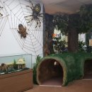 나비공원1(자연교육센터) 이미지