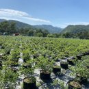 규남농장 이미지