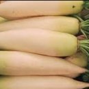 라이프짐 휘트니스 이미지