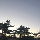 제주위딤 이미지
