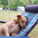 시원메디컬센타 이미지