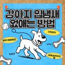 아이튼튼동물병원 이미지