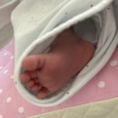 남매둥이 육아-산후도우미 100일간 연장한 후기 (인력2명과 1명)아이돌봄서비스 …ing/이사 9개월만에...