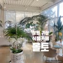 몰토커피 | 창원 귀산 식물카페 몰토 후기｜조용한 프라이빗 데이트 힐링카페