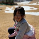 하이원 팰리스호텔 이미지