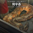청운로 | 양산 실내동물원 와우쥬 아이랑 가볼만한 곳 솔직 후기 ｜동물 체험부터 카피바라까지