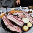 중부대로11 | 2025년 11월 한달 일상 (수원 여행, 연말회식, 청주 결혼식)