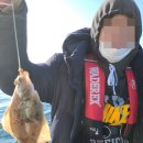 금강호 | 강릉 배낚시 초보도 즐기기 좋은 금강호 이용후기